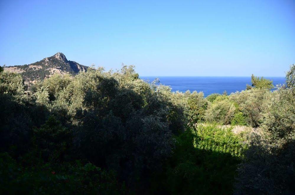 Panorama Studios Archangelos (Rhodes) Exterior foto